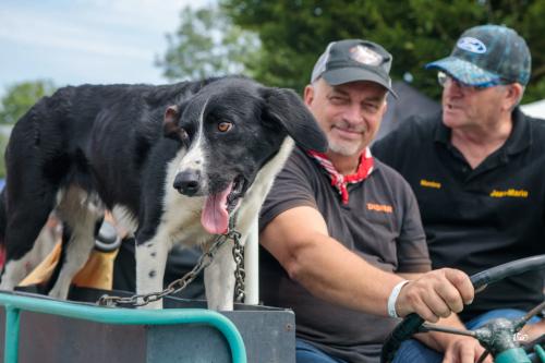 Course et défilé de tracteurs