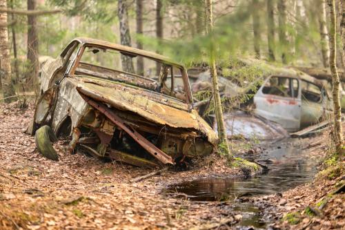 Cimetière de voitures en sous-bois